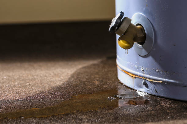 Best Commercial water damage restoration  in Westville, IN