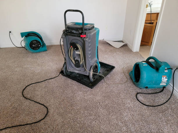 Best Mold removal after water damage  in Westville, IN