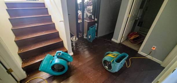 Best Water damage mitigation services  in Westville, IN