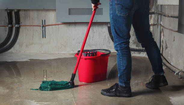 Best Sewage cleanup and water damage restoration  in Westville, IN