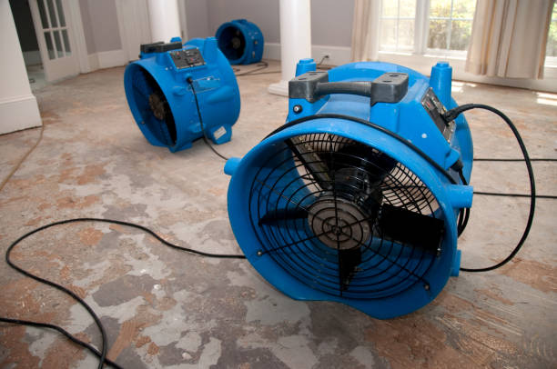 Best Commercial water damage restoration  in Westville, IN