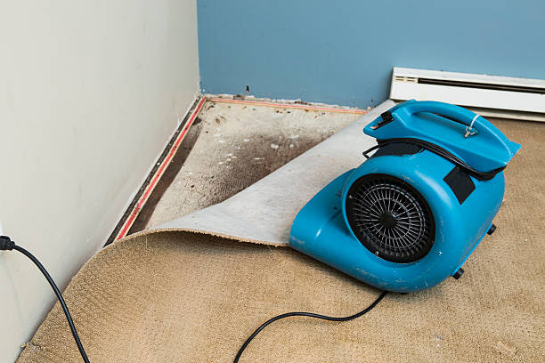 Best Water damage restoration insurance claims  in Westville, IN